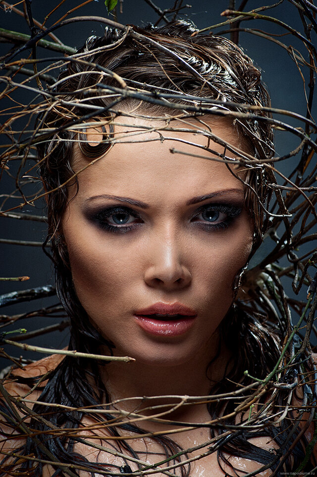 Фото Алексей Шишкин