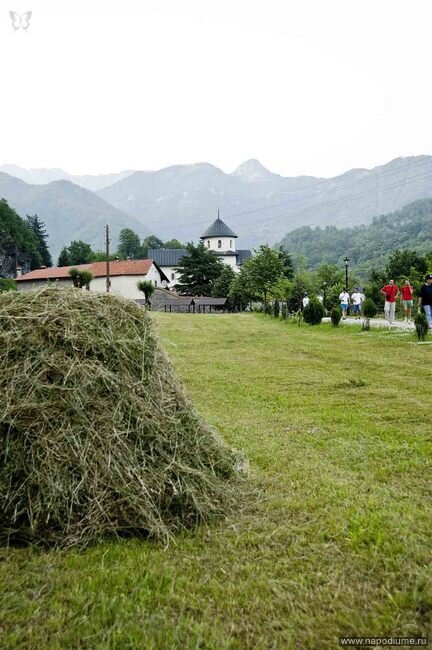 Фото Владимир Галич