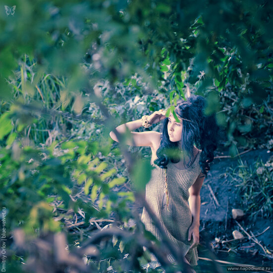 Фото Iva Basara