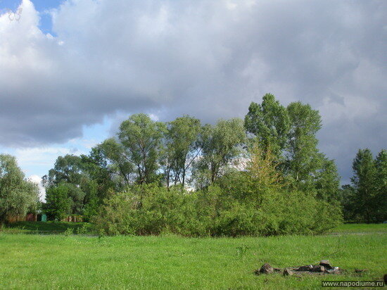 Фото Юлия Liya