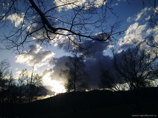 Nature