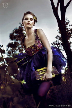 fashion