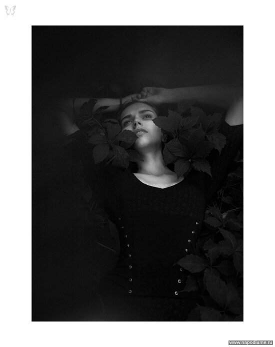 Фото anton kovalenko