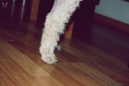 Фото Александра Север