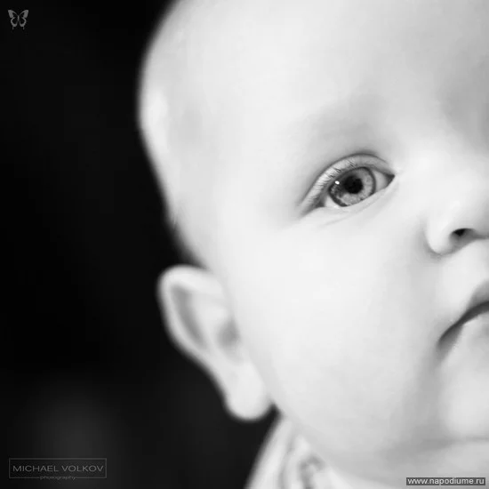 Mihail Volkov's photo