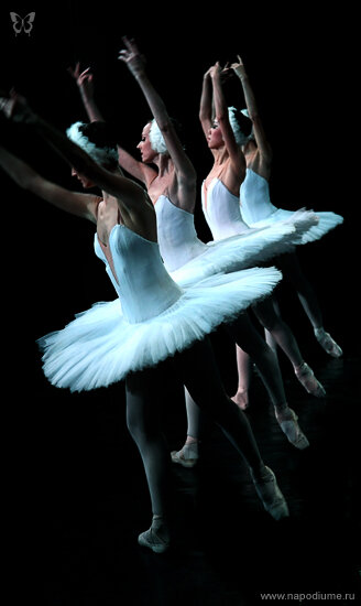 Фото Misha smisha Shipilov