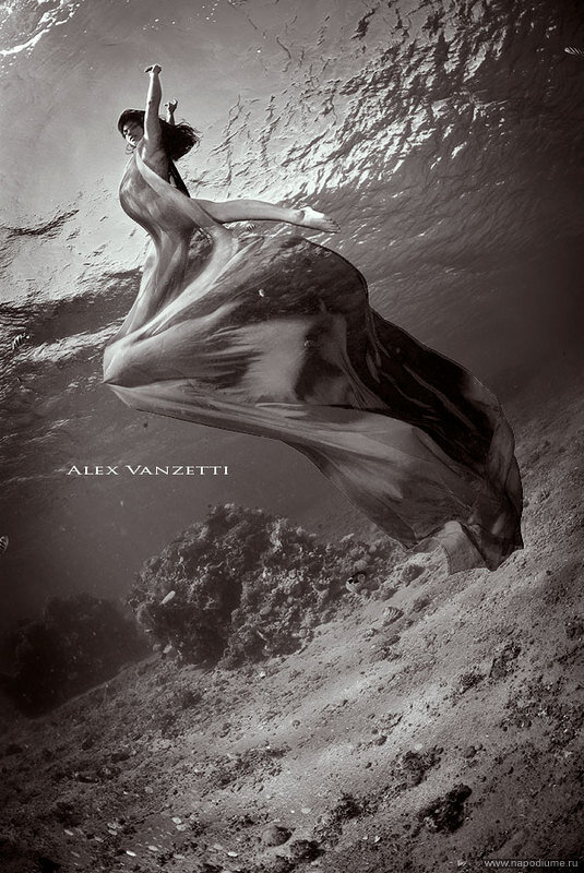 Фото Alex Vanzetti