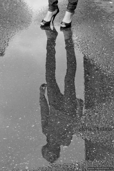 photo #1827005