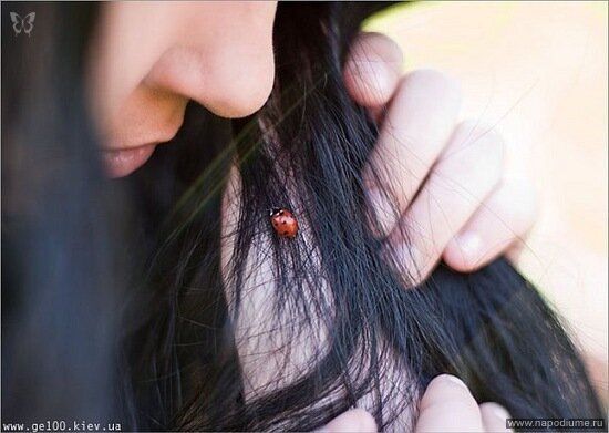 Фото Iva Basara