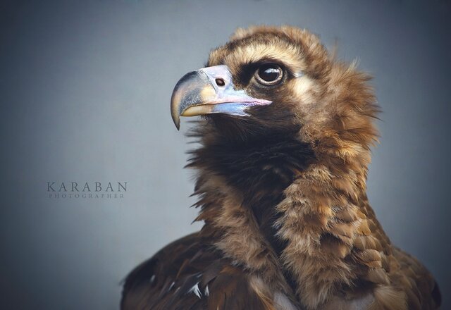 Фото Валерия Karabanphoto Филатова