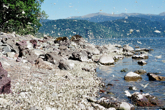 Foto Suren Bagadzian