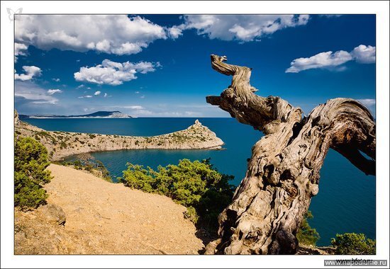 Новые фото http://www.bfoto.ru/new_photo.php