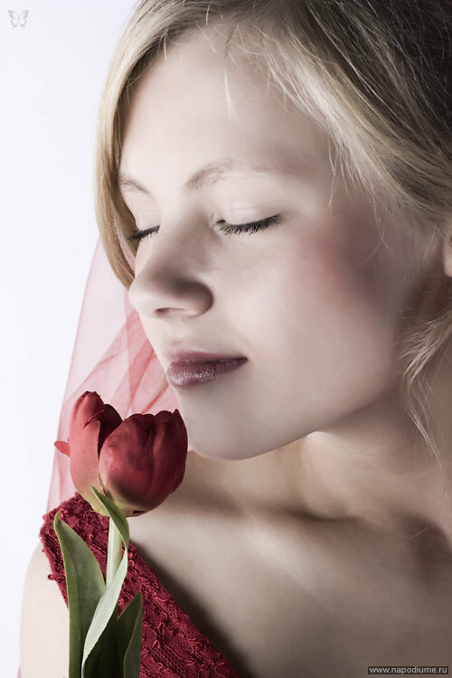 Портрет,  цветок,  тюльпан,  красное,  нежность