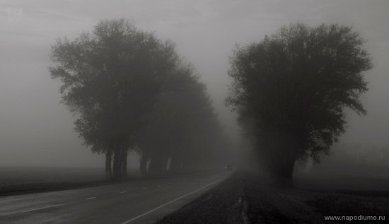 Фото Александр Александров