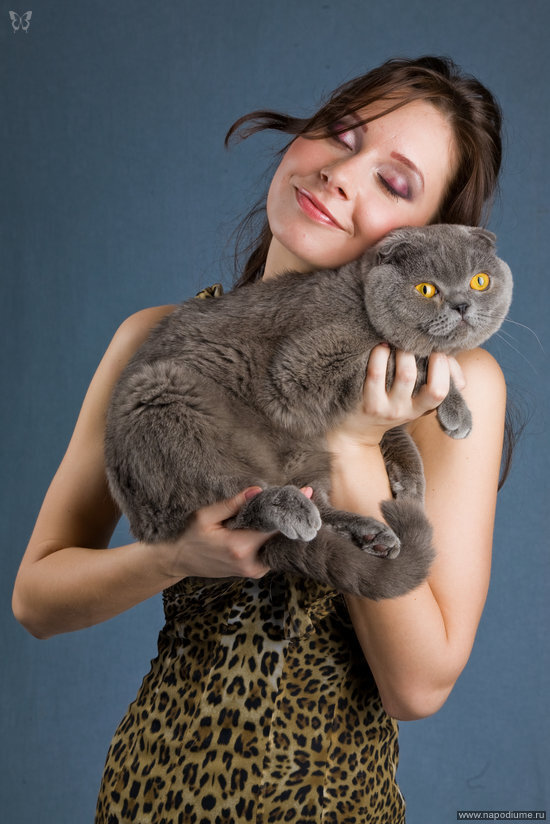 Модели - Наталья Кочетова и британский котейко :))