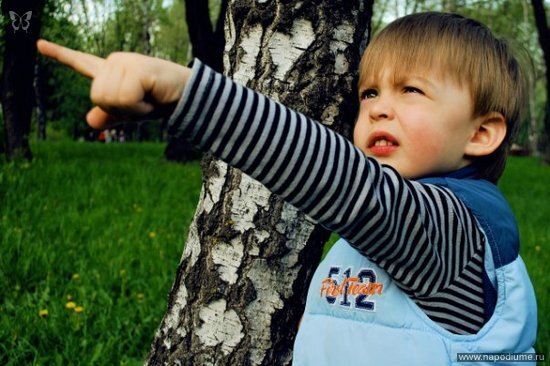Фото Андрей С.