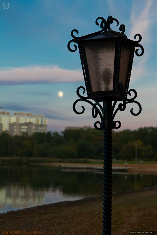 Фото Aleksey-Kot