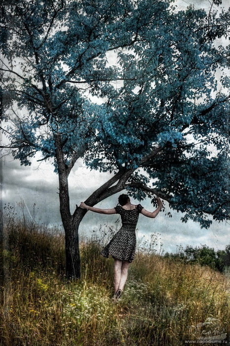 Фото Dreamlyn ___