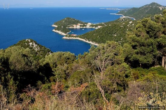 о.lastovo