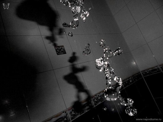 Фото Julia Tofan