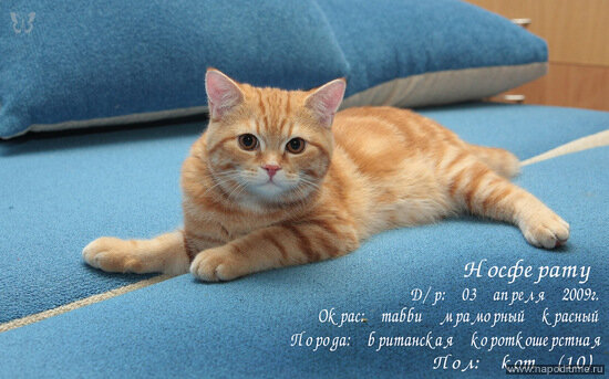 Фото Сергей Немо