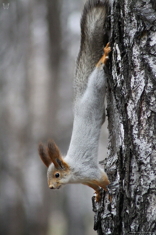 Фото Владислав Чернов