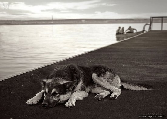Фото Алена Лавка