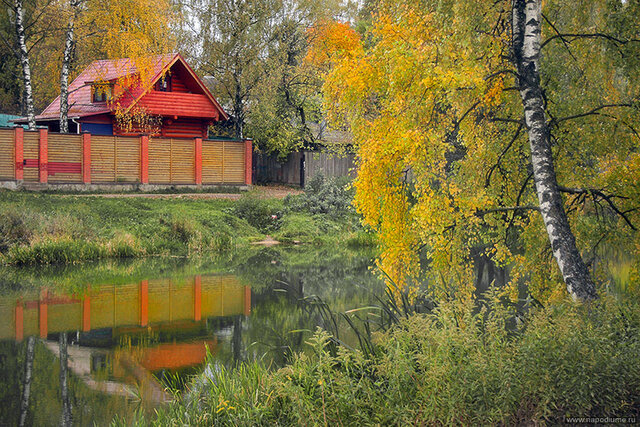Фото Андрей Войцехов