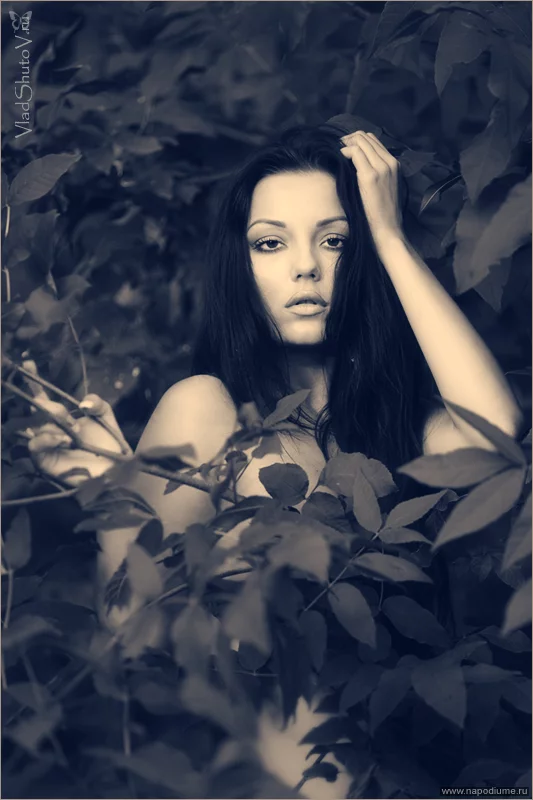 Kristina Schmidt's photo
