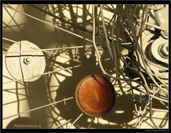 Фото Alla Polchaninova