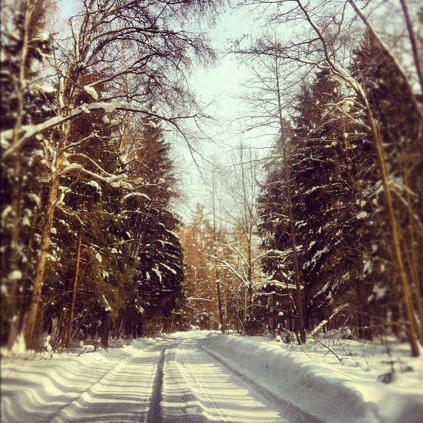 Фото Мария Козлова