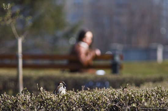"фотограф Селезнев Дмитрий www.photodmz.ru"