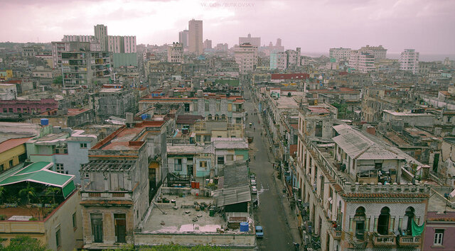 Alexander But's photo