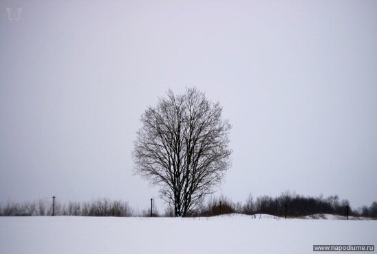 Фото Nataly SmileOnMe _