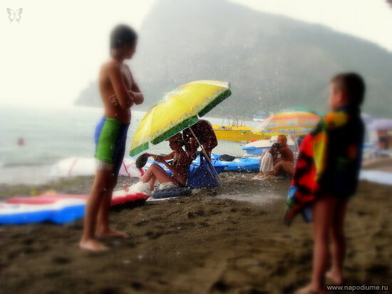 Фото mossy roc
