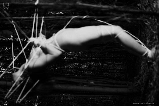 Фото Joe Mota