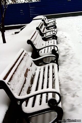 Фото Netali Barnes
