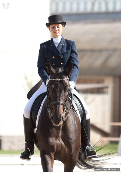 Фото Olga =) Equestrian