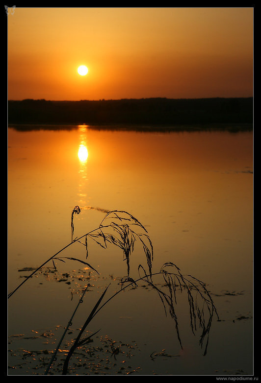 Новые фото http://www.bfoto.ru/new_photo.php
