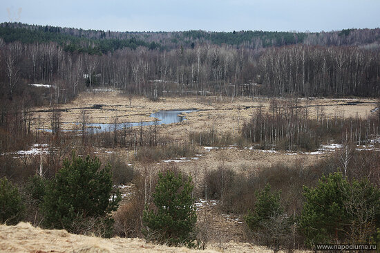 Фото Алексей Латышев