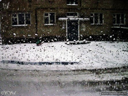Фото Алексис Олейникова