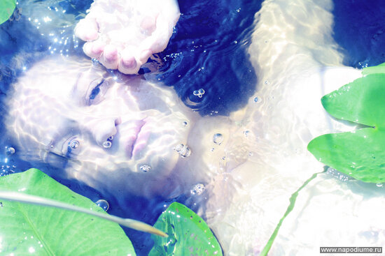 Фото Lera Summer