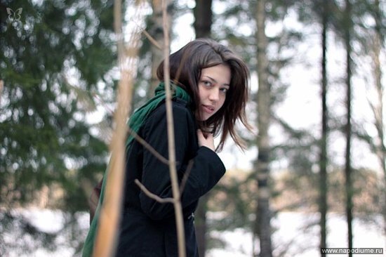 Forest, Cold, Colours