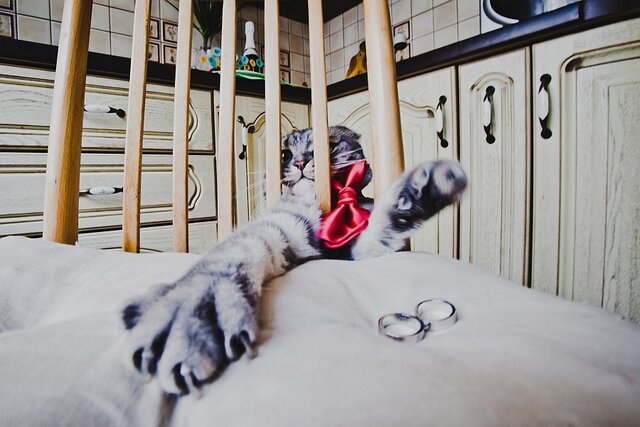 Фото Alexey Malyshev