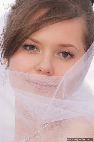 www.krencell.ru