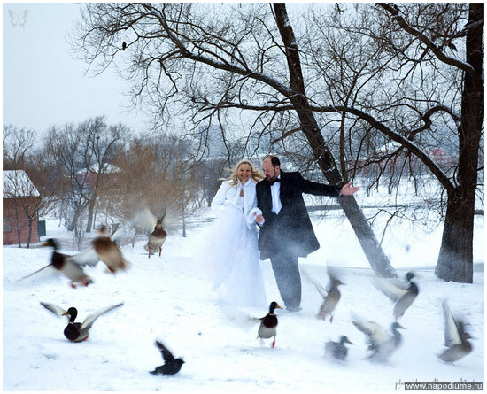 Фото Алексей magister Маслов