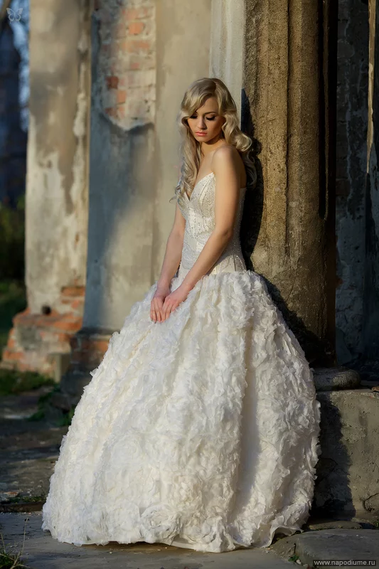 photo #1365134