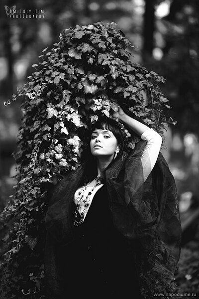 Фото Dmitriy TIm