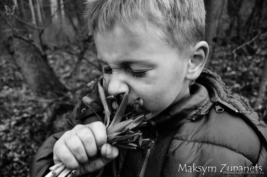 Фото Maksym Zupanets