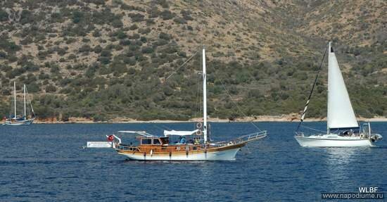 Фото ASHOT KHACHATRYAN